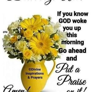 Meet your Posher, Sylvia